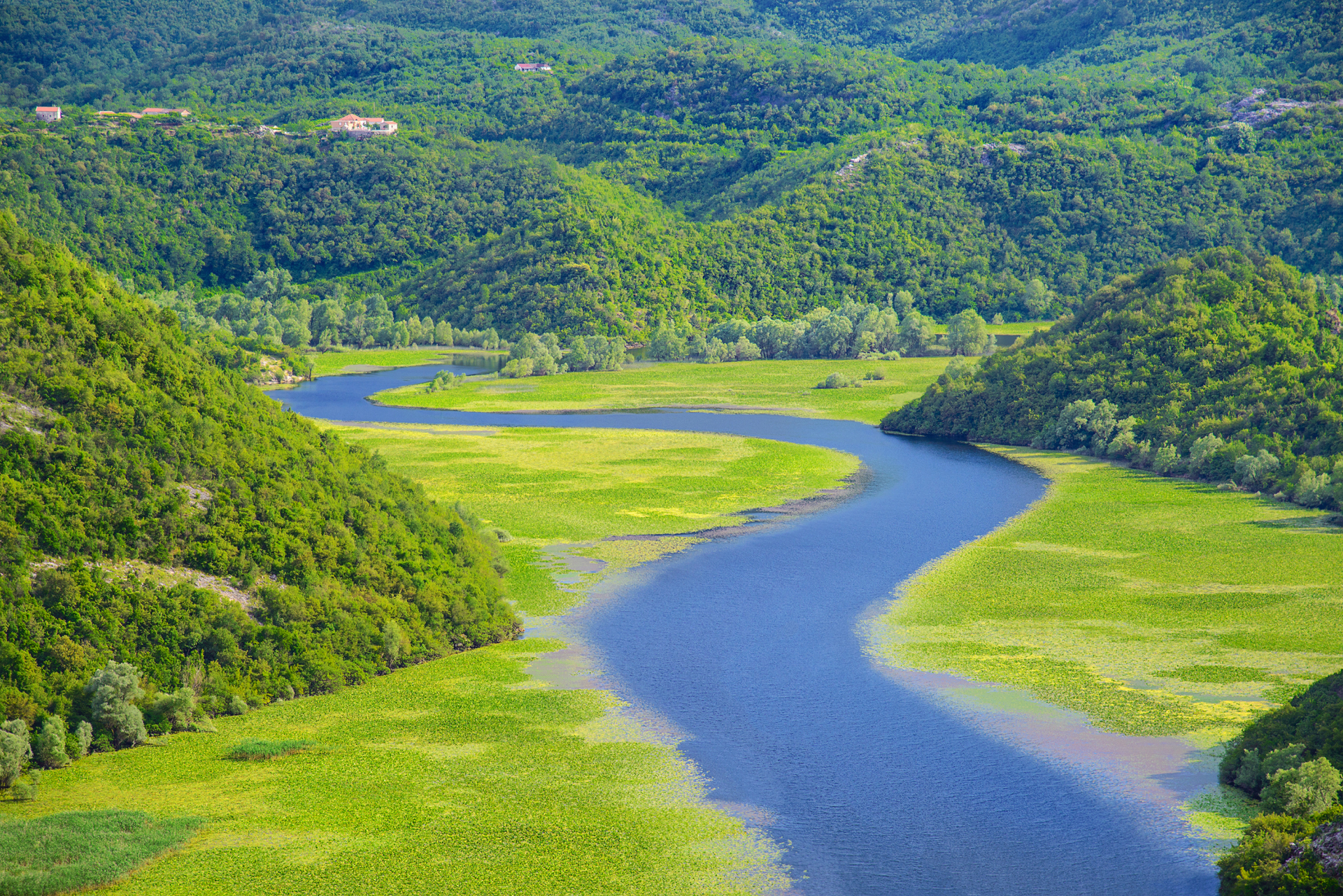 lac skadar marais