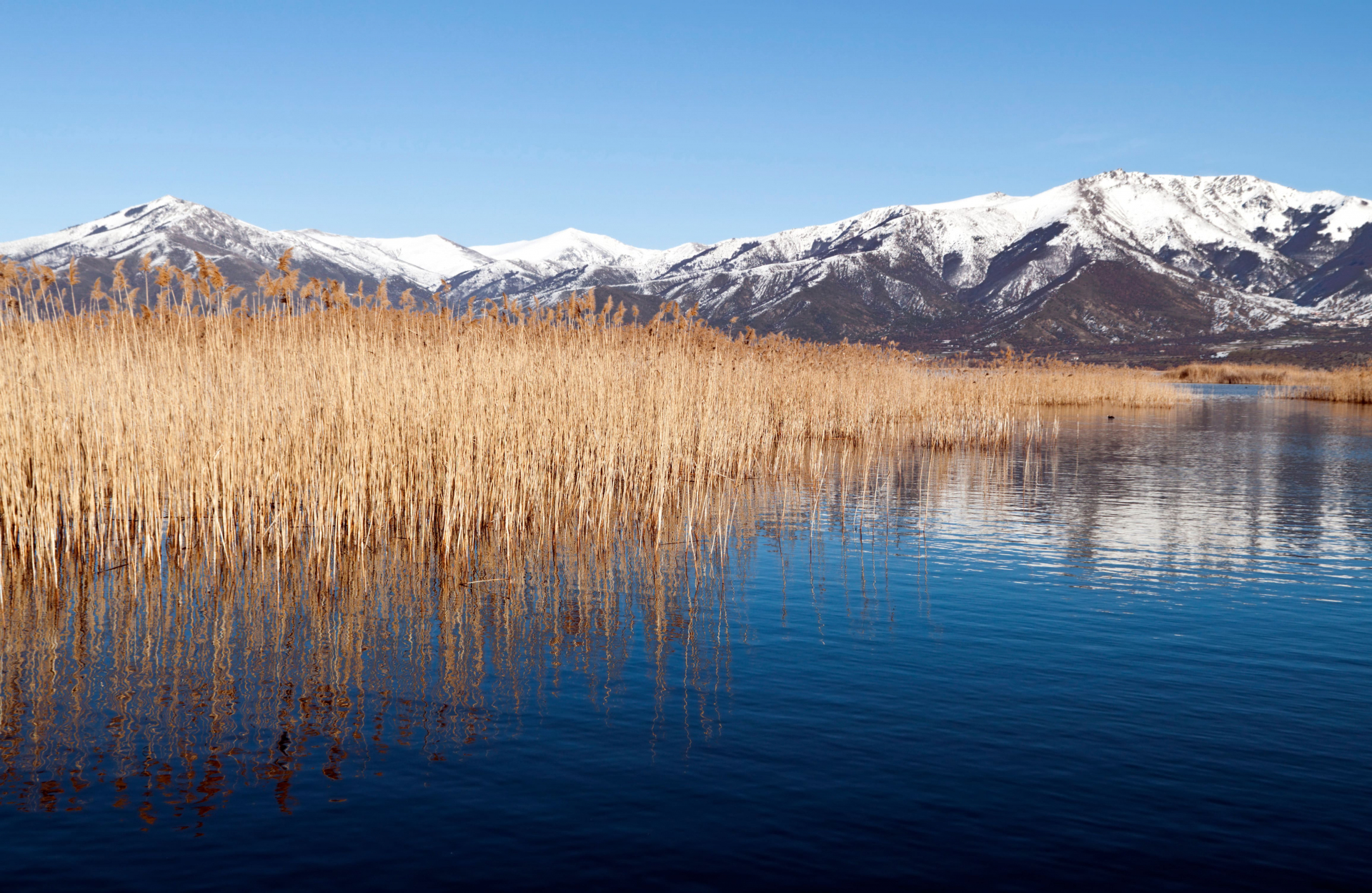 Lacs de Prespa